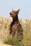 DOBERMANN 1026